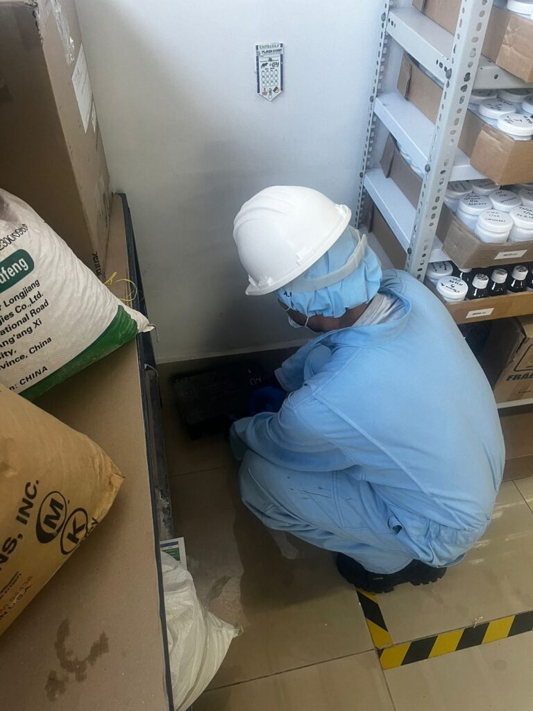 control de ratas en bodega