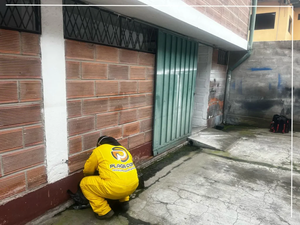 fumigacion en sangolqui